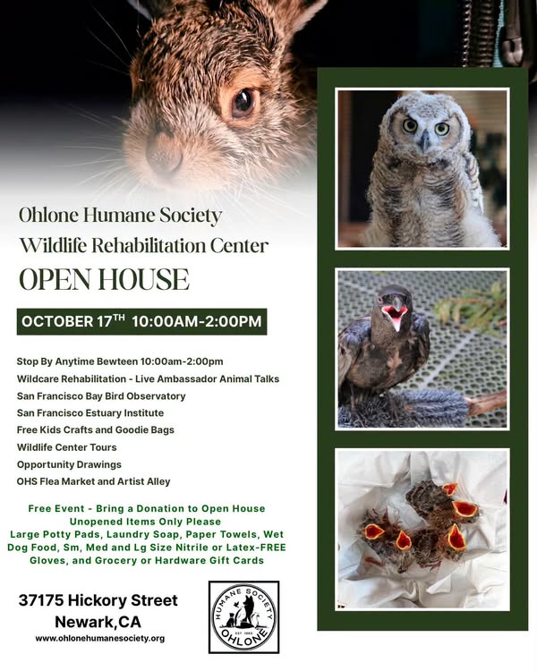 Ohlone Humane Society Wildlife Rehabilitation Center Open House