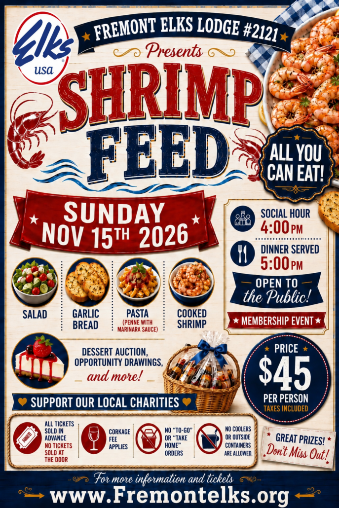 Shrimp Feed